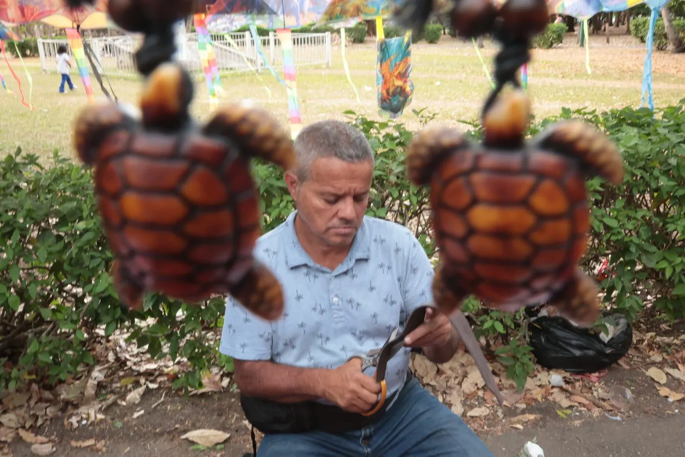 Festival Internacional de las Artes (FIA) 2026, La Sabana
