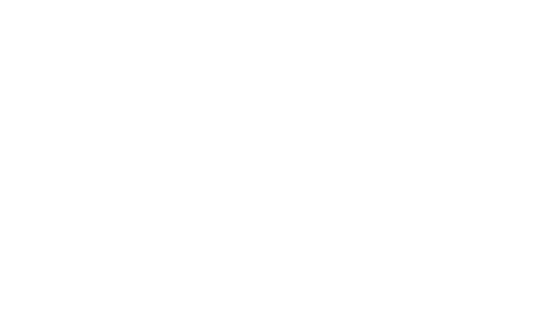 D+F Entertainment Group